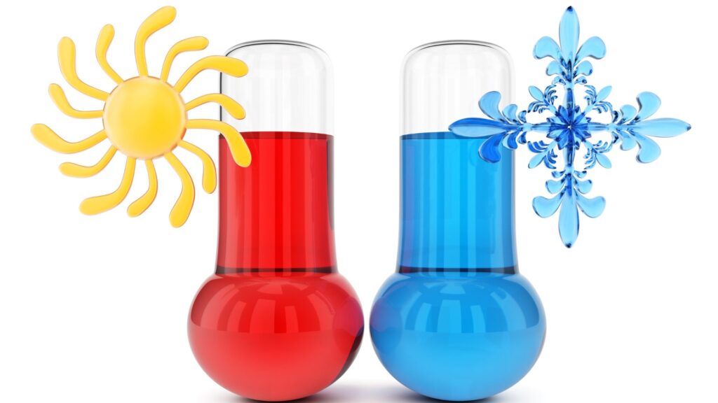 Untitled design (100)